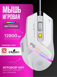 RGB yoritgichli Inphic PG1